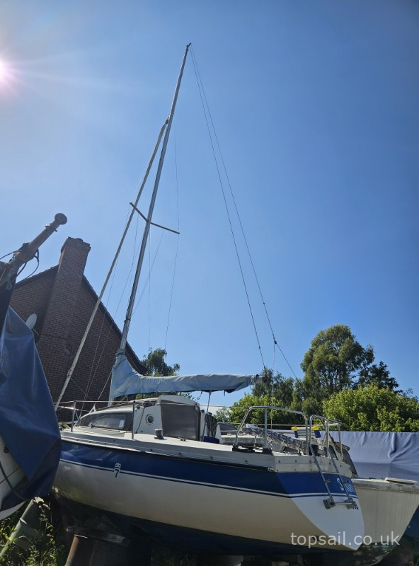 1984 Pegasus 700 (Shallow Fin)