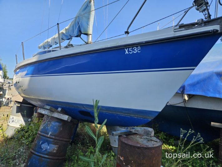 1984 Pegasus 700 (Shallow Fin)