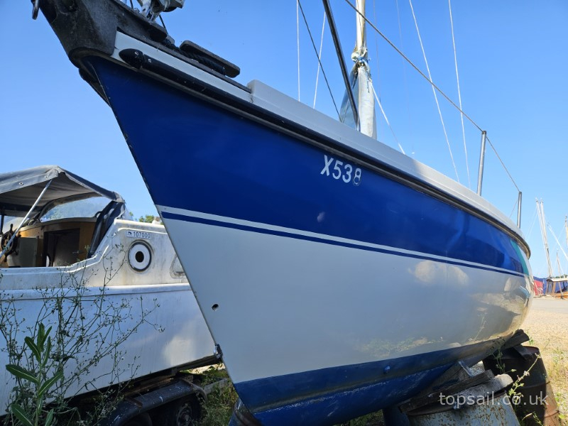 1984 Pegasus 700 (Shallow Fin)