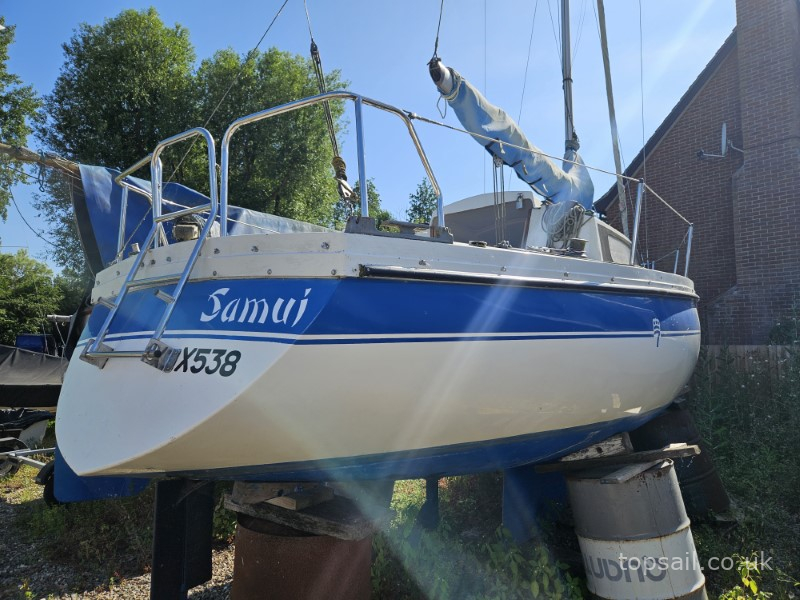 1984 Pegasus 700 (Shallow Fin)
