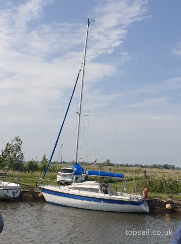 1985 Pegasus 700 (Shallow Fin)