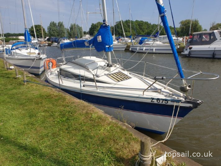 1985 Pegasus 700 (Shallow Fin)