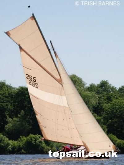 1986 Easticks 28 Custom River Cruiser (Electric)