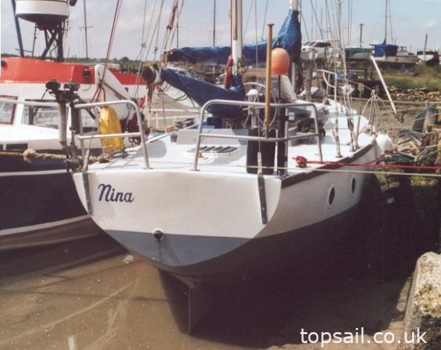 1982 Hartley Golden Cowrie
