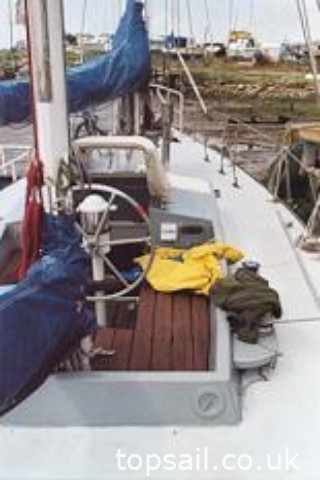 1982 Hartley Golden Cowrie