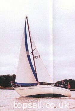 1981 Cobra S750