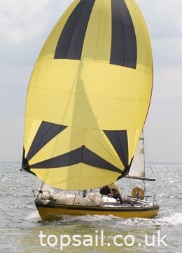 1973 Tequila Sport 24