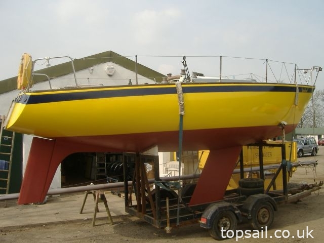 1973 Tequila Sport 24