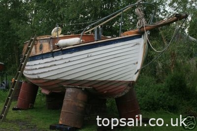 1950 Sea King 24