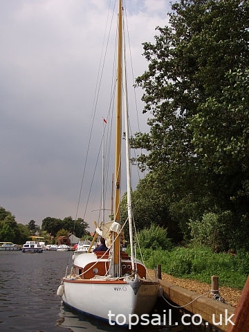 1959 Truman Ecstasy 23