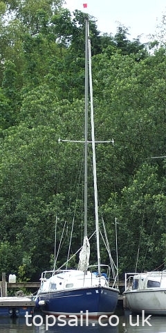 1970 Snapdragon 21