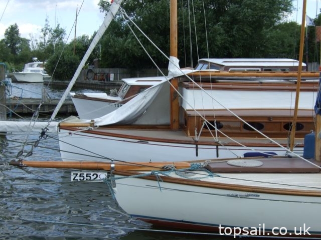 1950 Japonica River Cruiser