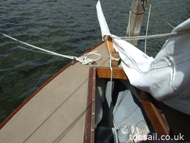 1950 Japonica River Cruiser