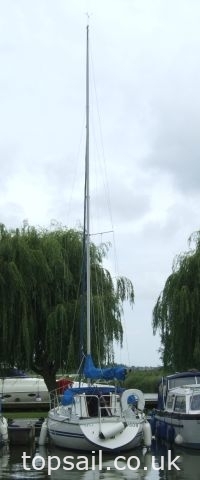 1991 Pegasus 800