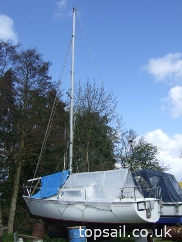 1983 Jaguar 23