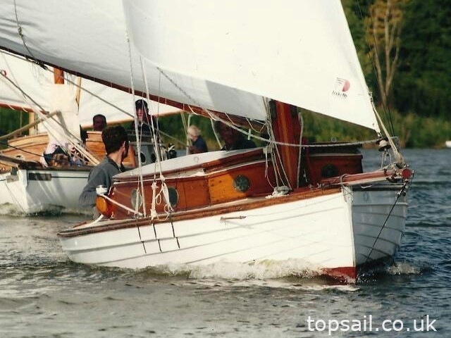 1890 Salter River Cruiser