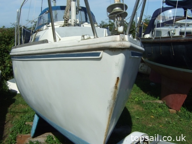 Jaguar 25