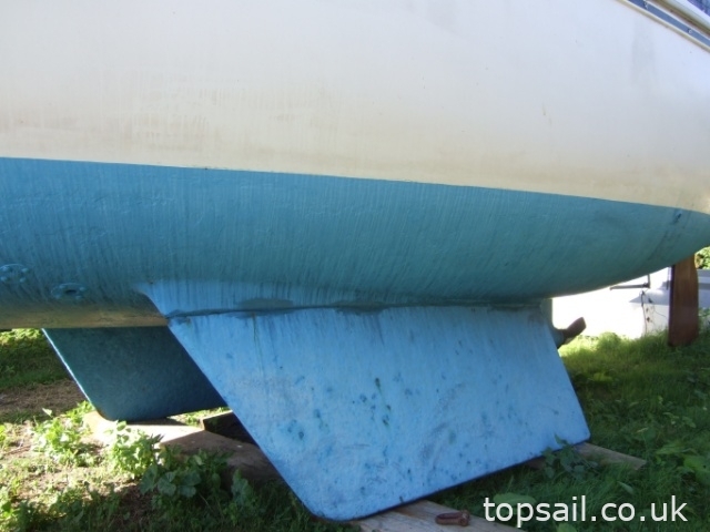 Jaguar 25