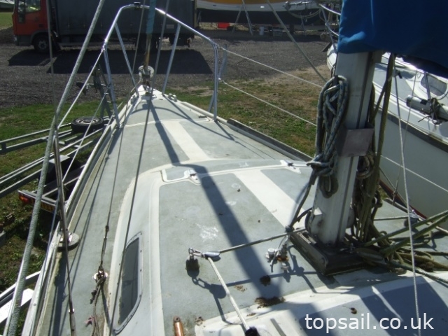 Jaguar 25