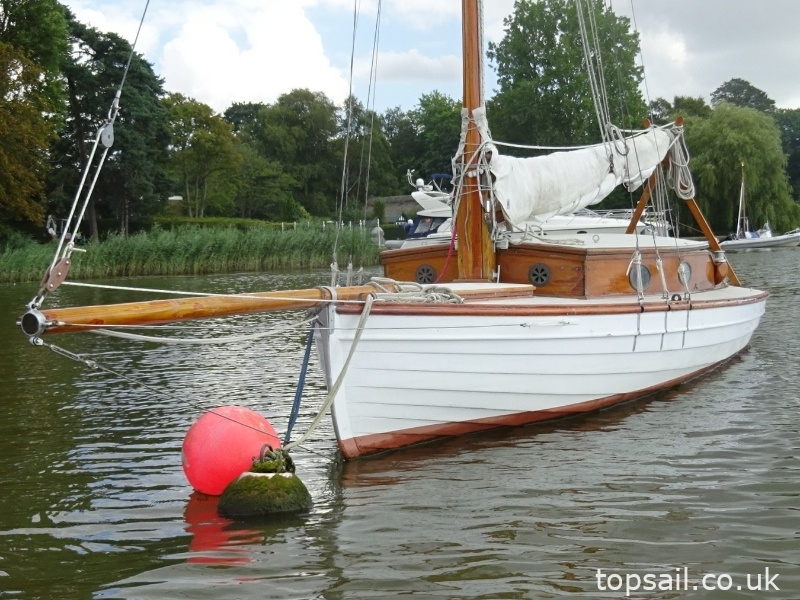 1890 Salter River Cruiser
