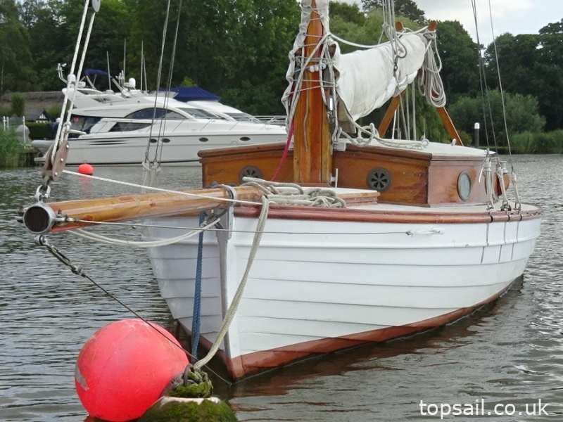 1890 Salter River Cruiser