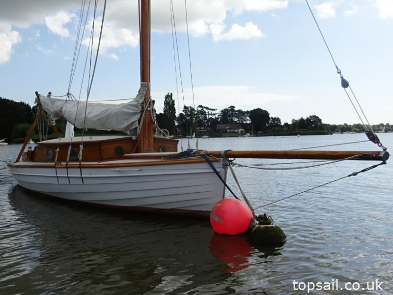 1890 Salter River Cruiser