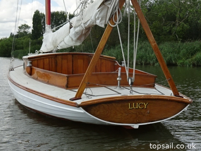 1890 Salter River Cruiser