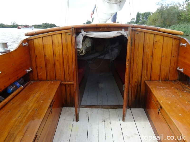 1890 Salter River Cruiser