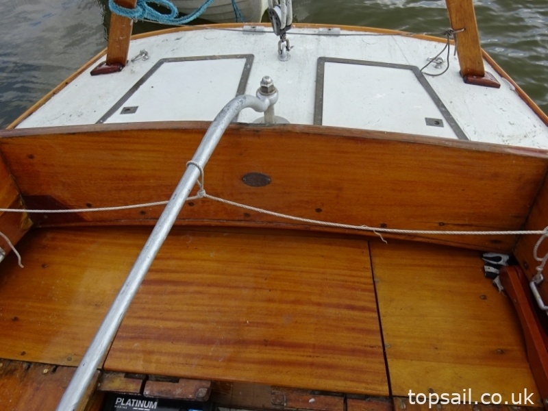 1890 Salter River Cruiser