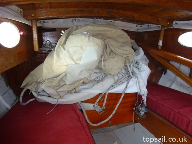1890 Salter River Cruiser