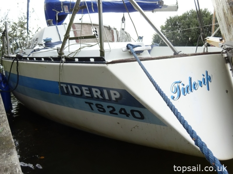 1980 Trapper TS240