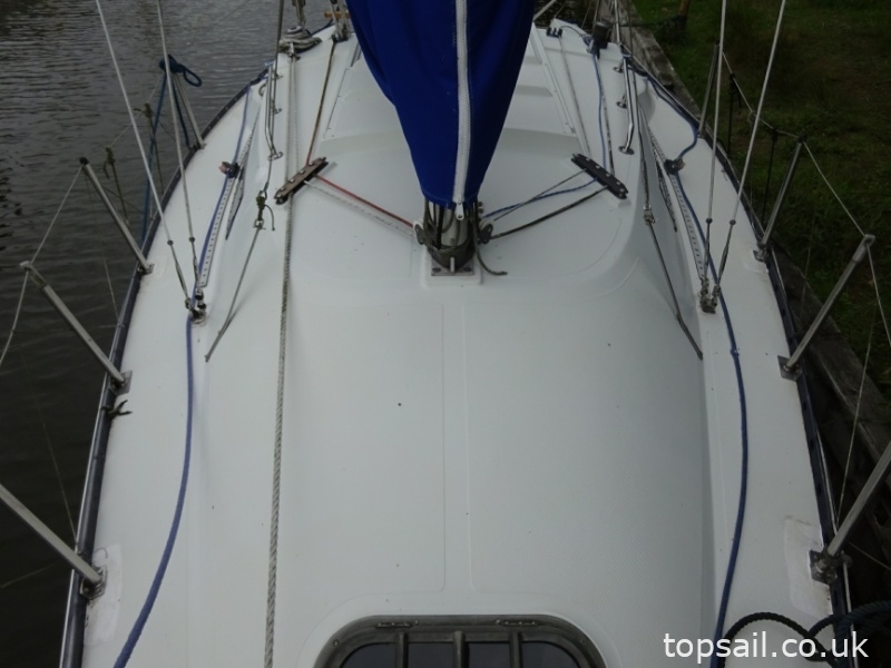 1980 Trapper TS240