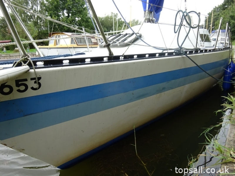 1980 Trapper TS240
