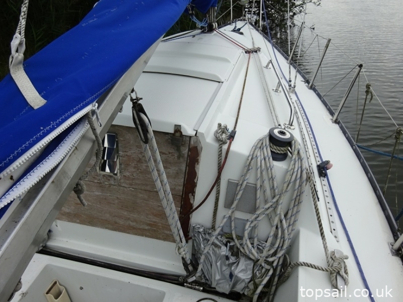 1980 Trapper TS240