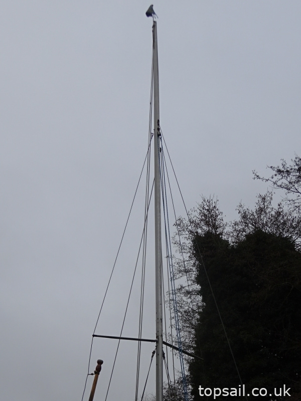 1980 Macwester 28 / Brinks Sun Fizz