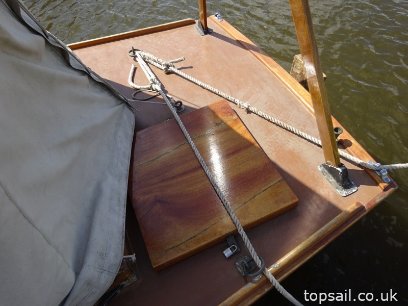 1952 Woods Gay Lady Class River Cruiser