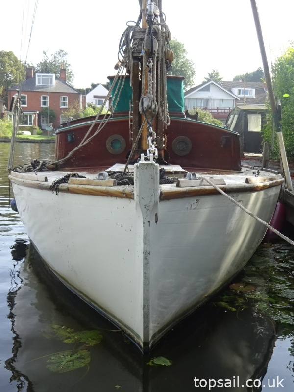1920 Ernest Collins 34 River Cruiser