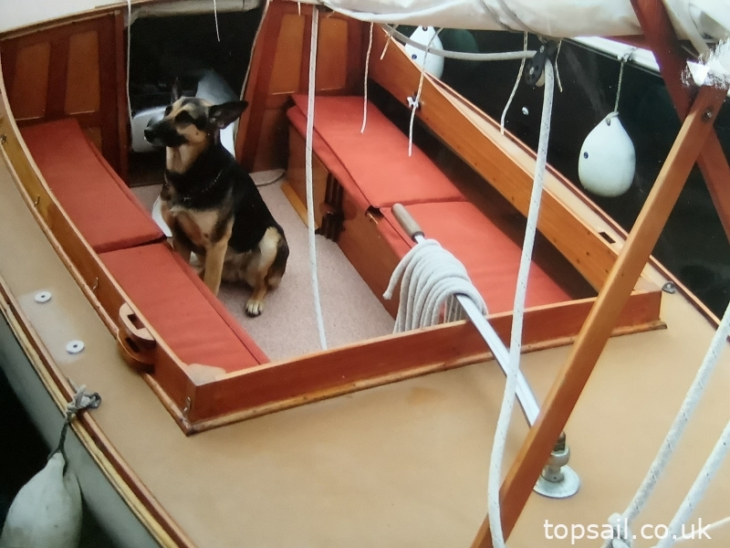 1985 Thurne Cuddy Broads Yacht (GRP Hull, Trailer Available)