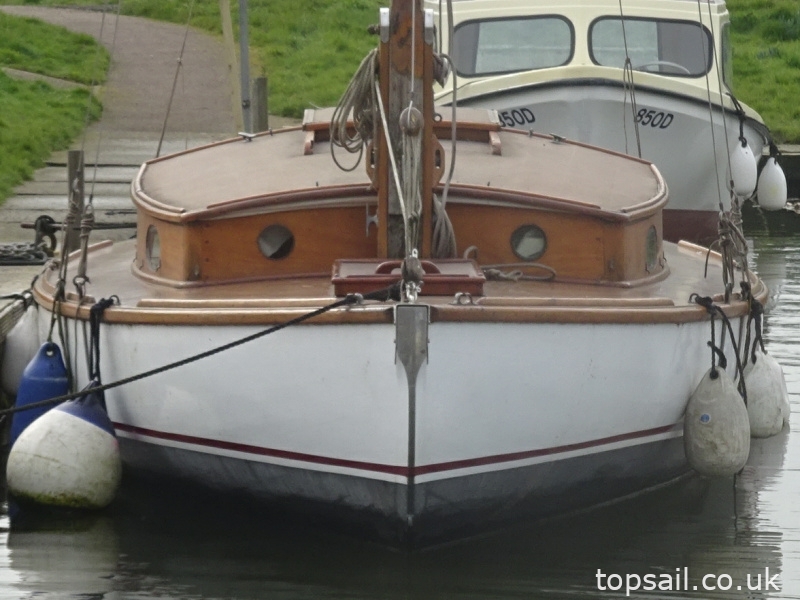 1910 Ernest Woods River Cruiser Project