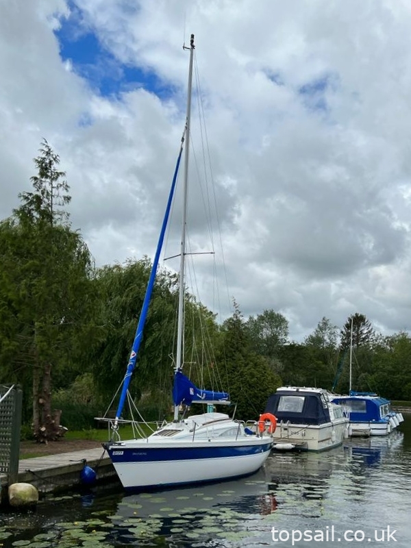 1987 Pegasus 700 (Shallow Fin, Diesel Inboard!)