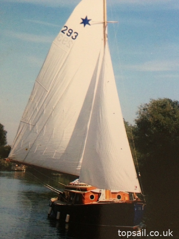 1960 Herbert Woods Fair Lady River Cruiser