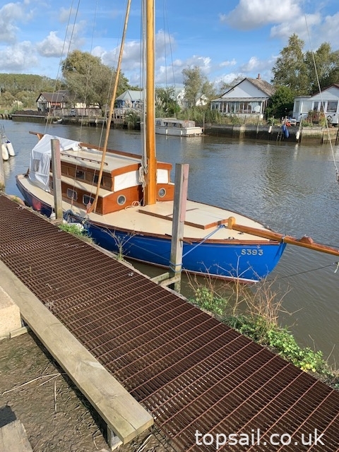 1960 Herbert Woods Fair Lady River Cruiser