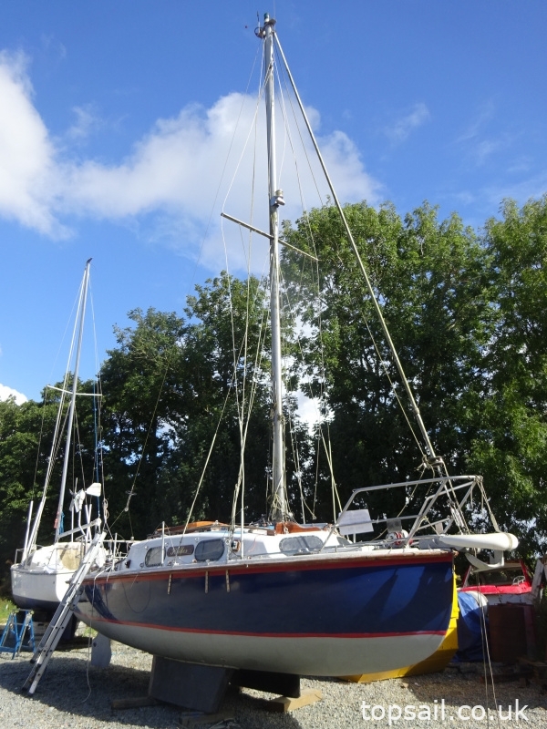 Kingfisher 20