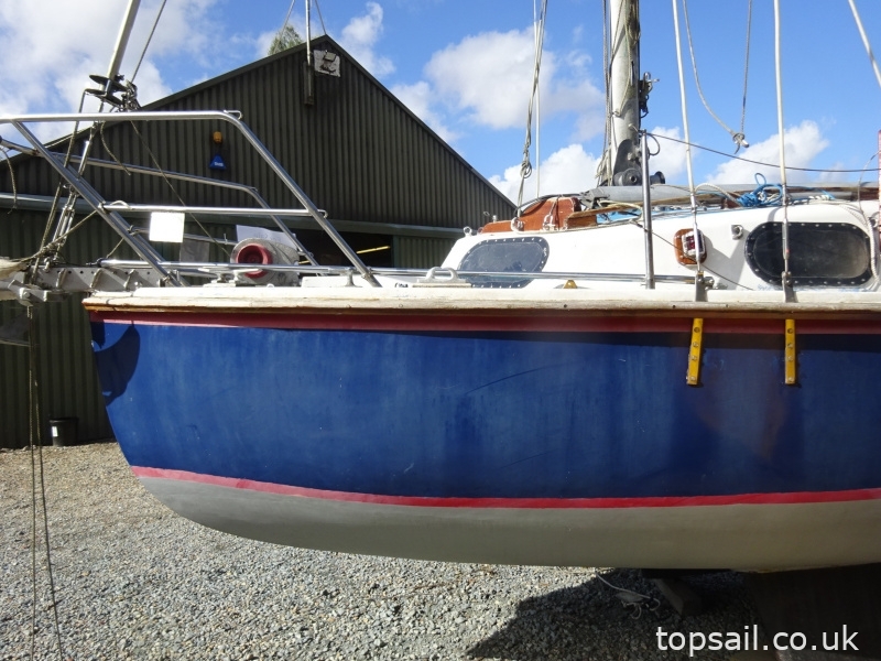 Kingfisher 20