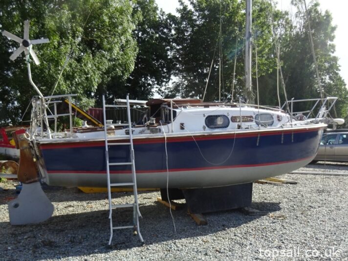 Kingfisher 20
