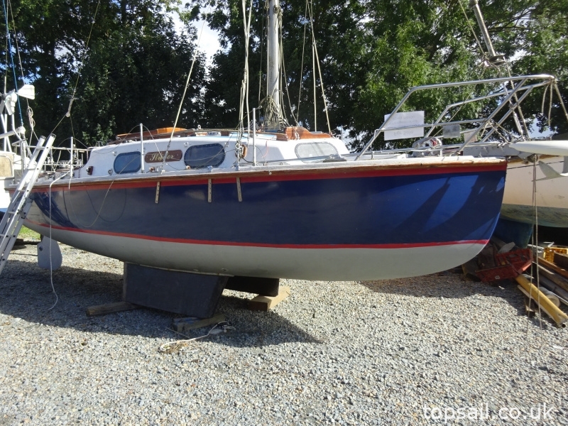 Kingfisher 20