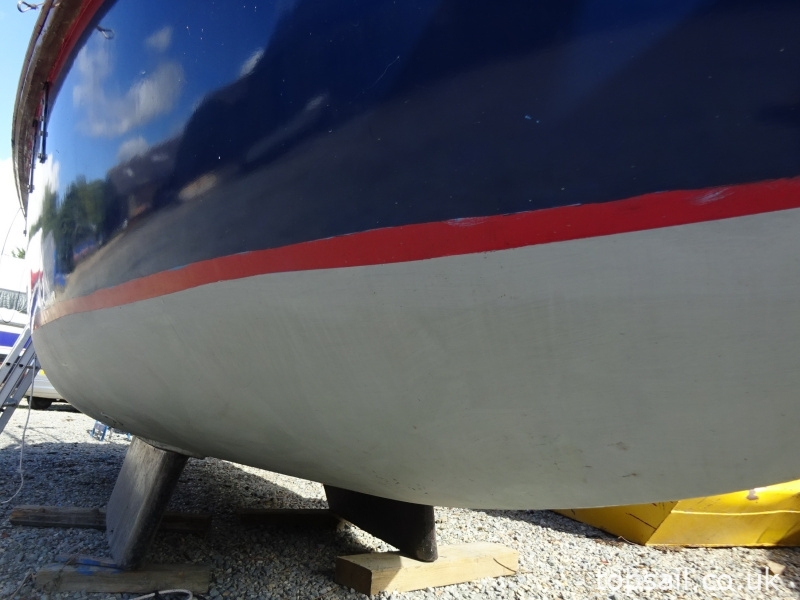 Kingfisher 20