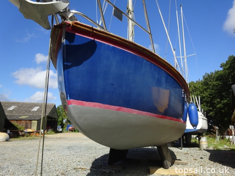 Kingfisher 20