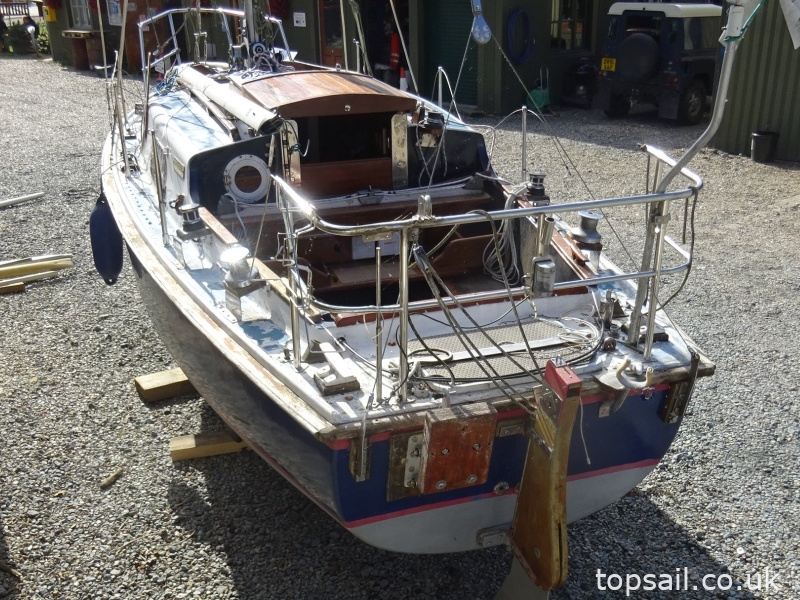 Kingfisher 20