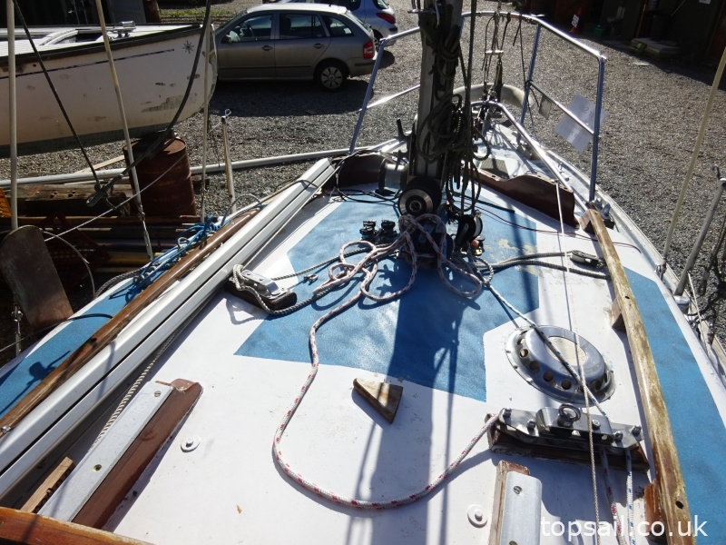 Kingfisher 20